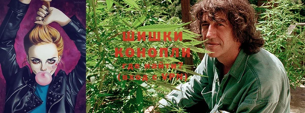 jwh Алзамай