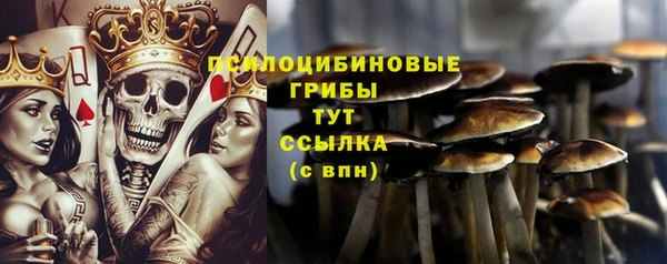 spice Алексеевка
