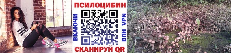 Галлюциногенные грибы ЛСД Мензелинск