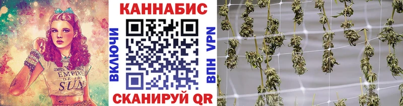Каннабис тримм  купить наркоту  Мензелинск 
